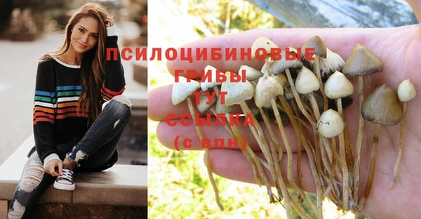 мет Алзамай