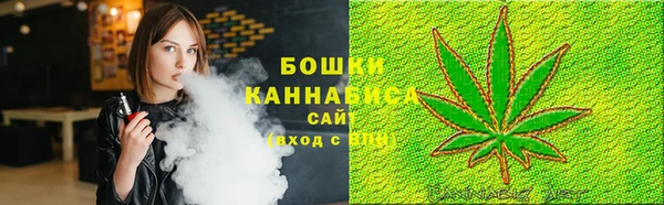 спайс Алексин