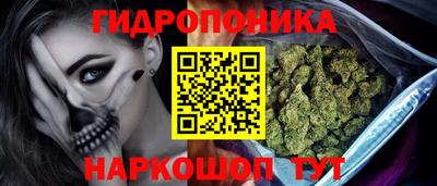 альфа пвп Краснознаменск