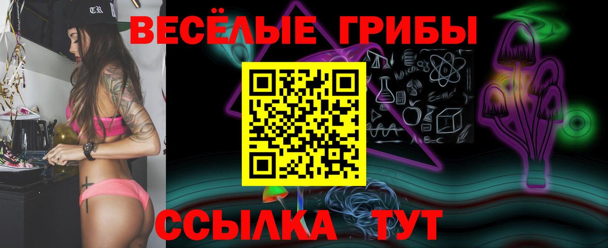 Галлюциногенные грибы GOLDEN TEACHER  Вход с VPN  Котельники 